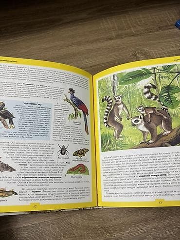 Книги и журналы: Детские книги, атлас животных 
Отдам две книги за 300 — 3