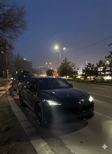 Lamborghini: Lamborghini : 2018 г., 4 л, Бензин, Кроссовер — 4