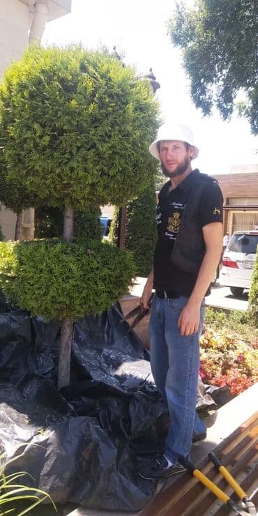 услуги медсестры капельницы уколы на дому: Уборка территории, Уход за деревьями — 6