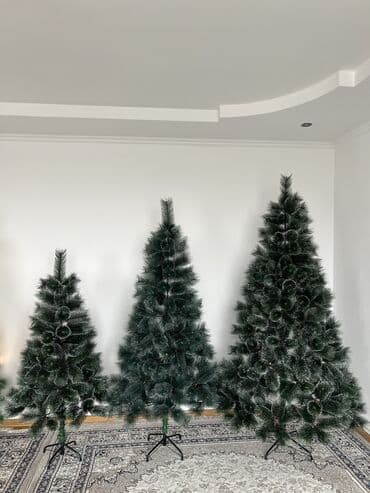 купить живую елку бишкек: «Сосновые елки» 🎄 Искусственные новогодние ёлки с эффектом инея — 6