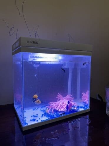 аквариум токмок: Аквариум SUNSUN с крышкой и встроенной системой Объем 12л - — 2