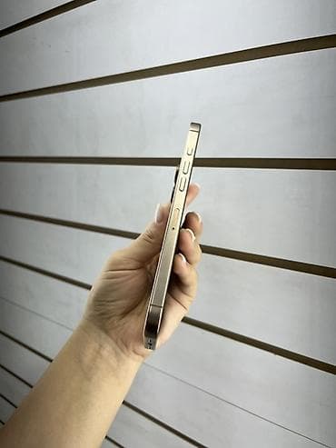 iphon 13 pro max: IPhone 16 Pro Max, 256 ГБ, белый цвет корпуса. Смартфон с большим — 6