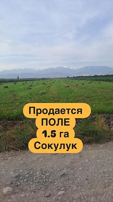 150 соток, Для сельского хозяйства, Тех паспорт, Договор купли-продажи