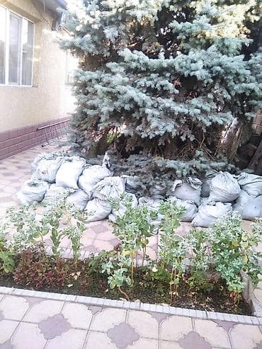 Строй мусор на засыпку ямы 30 мешков дам 1000 сом — 1