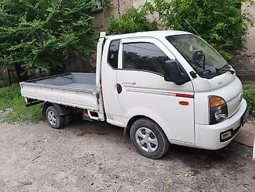 byd dolphin: Легкий грузовик, Hyundai, Стандарт — 1