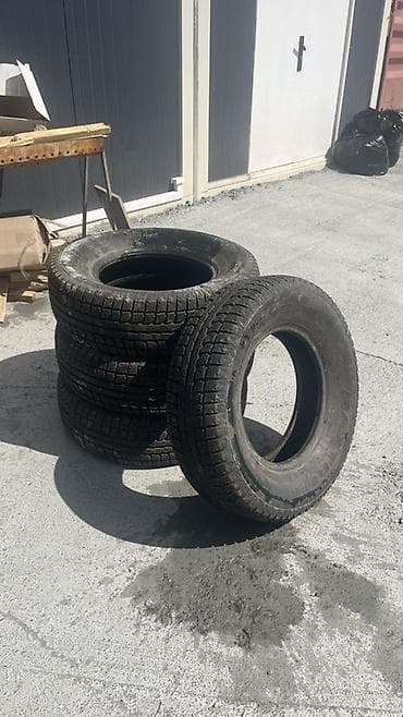 тиска 15: Комплект из 4 шин для легкового автомобиля. - Тип: зимние/всесезонные — 1