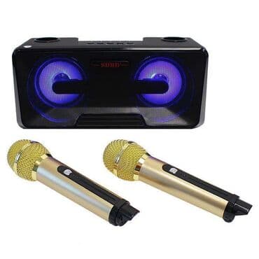 акустические системы ld systems с микрофоном: Беспроводная караоке система SDRD SD-301 - это портативное устройство — 2