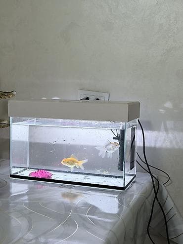 фильтр для аквариум: Аквариумный комплект для домашних рыб - Прямоугольный стеклянный — 2