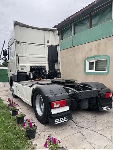 daf 2001: Тягач, DAF, 2019 г., Без прицепа — 6