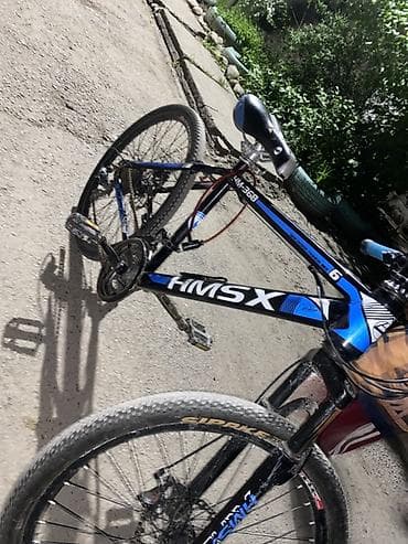 sador diska: Горный велосипед, Сталь — 2