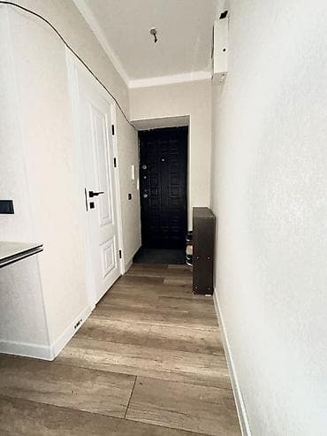 4: 2 комнаты, 47 м², Ошский рынок / базар 104 серия, 4 этаж, Евроремонт — 5