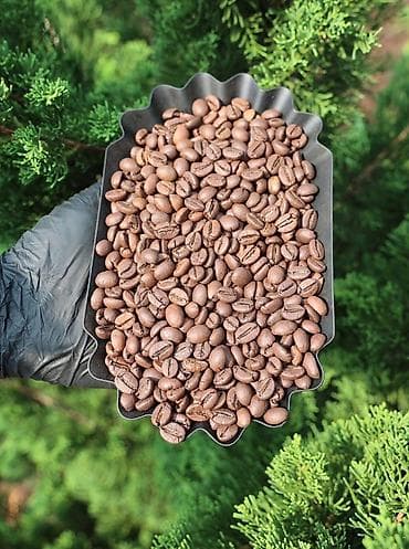 вьетнамские: Вьетнамский кофе премиум качества — оптом в Бишкек и страны СНГ. V — 3