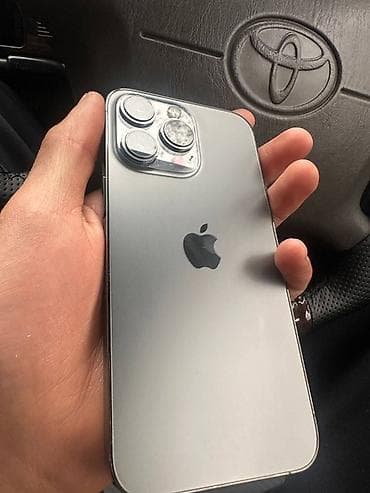 iphone 6с: IPhone 13 Pro, Серебристый, Чехол — 1