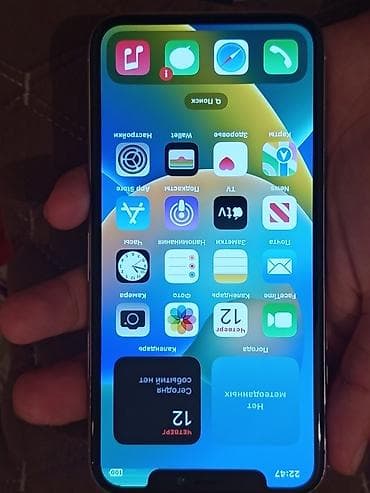IPhone X Находиться в Токмоке 256гб АКБ100 фейс трутона нету экране