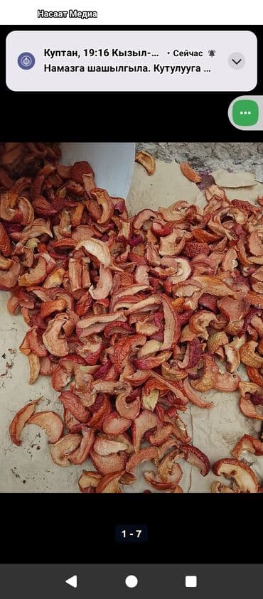 веник с совком цена бишкек: Хурма в ящиках - Сорт: хурма лепешка (не вяжет при полной — 12