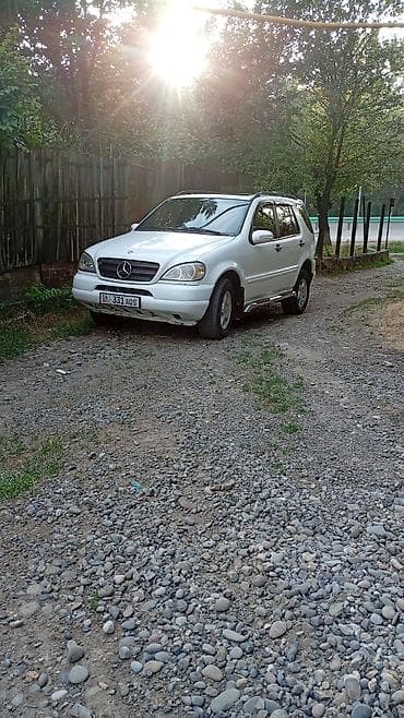 baw 34: Mercedes-Benz ML-Class AMG: 1998 г., 3.2 л, Автомат, Газ — 4