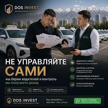 DOS INVEST — инвестиции в автоактивы и управление автопарком под ключ