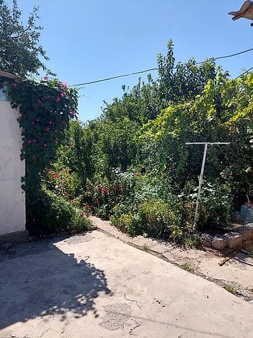 салкын: 🏡 ДАЧАЛЫК ҮЙ САТЫЛАТ! СРОЧНО! 📍 Жайгашкан жери: г. Бишкек, с — 2