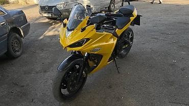 мото номер: Спортбайк Kawasaki, 300 куб. см, Бензин, Взрослый, Новый — 1