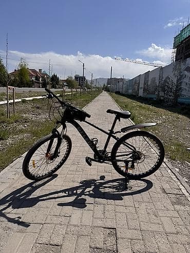 format diski: Горный велосипед, Geleda, Сталь — 1