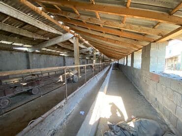 село раздольное кыргызстан: Сдаю в аренду базу в селе Раздольное для МРС и КРС(бычки 100 голов) — 5