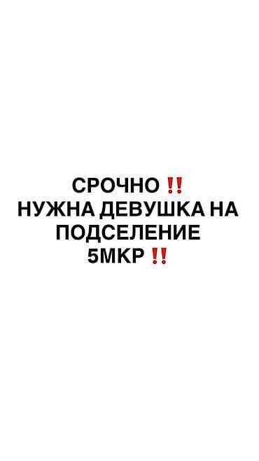 Ищу студентку или двух студенток на подселение 🏠 Ищем 1–2 студенток at lalafo.kg Ищу студентку или двух студенток на подселение 🏠 Ищем 1–2 студенток