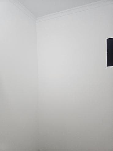 white box: Окраска стен и потолков – малярные работы под ключ Профессиональная — 1