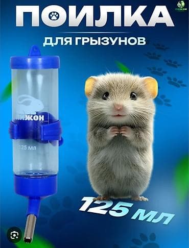 ищу кошку: Домик1600,ПоилкаЧашка350 лоток 250 расчёска, когтерезка300, поилка и — 7