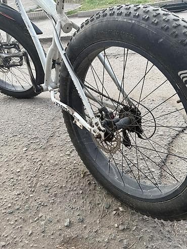 Балдар үчүн велосипеддер: Тоо велосипеди, Болот — 1