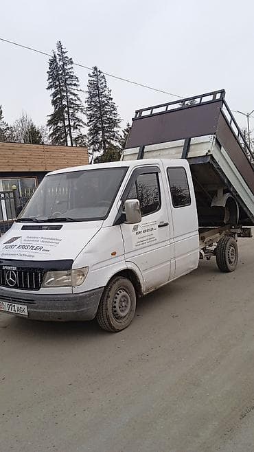 даф 95 2005: Легкий грузовик, Mercedes-Benz, Дубль, 3 т, Б/у — 1