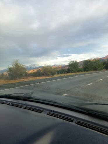 арка для цветов: Ищу саженцы уличного Жасмина, пахучего когда цветёт — 1