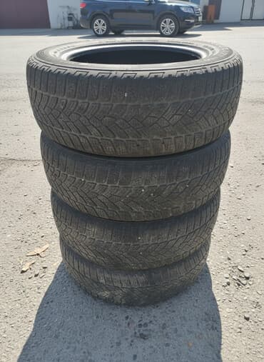Комплект автомобильных шин (4 шт.). - Тип: зимние/всесезонные с