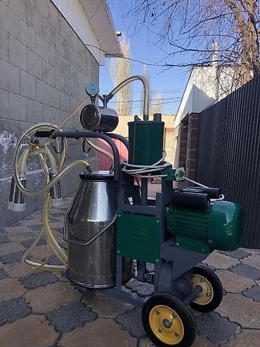 дакан корос: Продаю китайский доильный аппарат в идеальном состоянии работает всё — 2