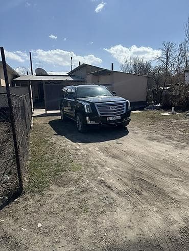 mersedes ml 63: Cadillac Escalade: 2016 г., 6.2 л, Автомат, Бензин, Внедорожник — 2