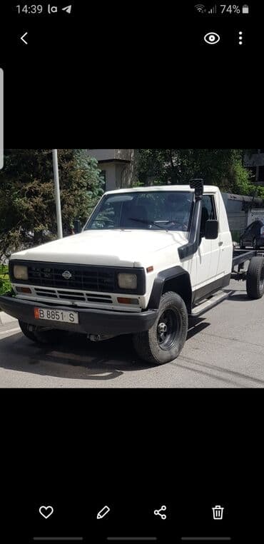 Nissan Patrol: 1983 г., 3.3 л, Механика, Дизель, Пикап