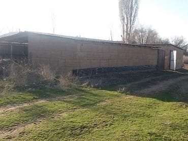 карабалта вознесеновка дом: 65 м², 3 комнаты, Бронированные двери, Амбарная, Подвал, погреб — 6