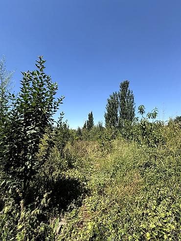Недвижимость: 📌В селе Беловодское продаётся дом ПСО 2-х этажный на участке 11,5 — 5