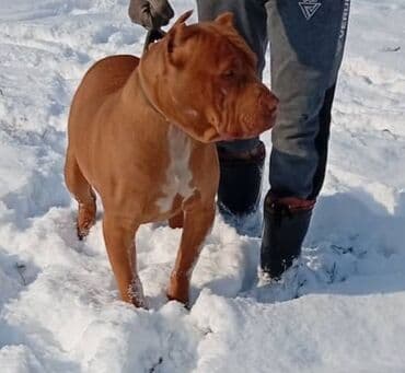 lan кабель бишкек: Сын саймана возраст 1,5 года за подробностями звоните — 2