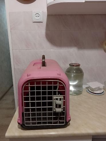 купить переноску для кота: Переноска для животных (кошки, мелкие собаки, кролики). - Материал — 1