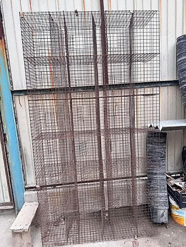 птици: Другая сетка — 5