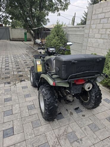 кованые диски r15: Квадроцикл Бензин, 500 куб. см, Взрослый — 2