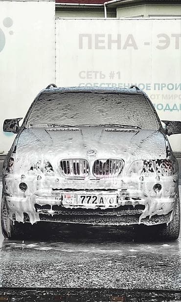 x5 2020: BMW X5: 2001 г., 4.4 л, Автомат, Бензин, Внедорожник — 8