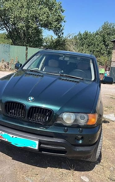 w210 2 7: BMW X5: 2001 г., Кроссовер — 3
