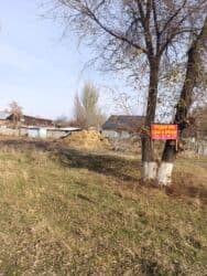 купить саженцы плодовых в бишкеке: Срочно продаю участок 10 сотых город Каинда прям на трассе угловой — 2