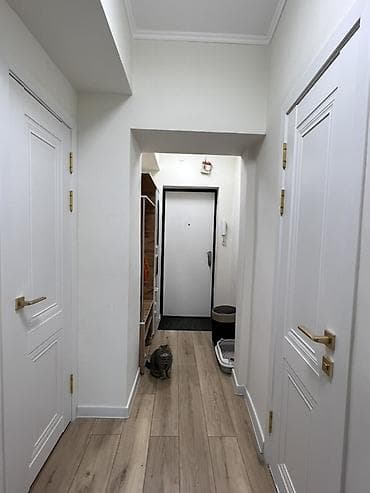 2 комнаты, 60 м², Индивидуалка, 10 этаж, Свежий ремонт — 10