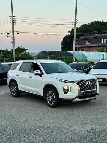 byd leopard: Hyundai Palisade: 2021 г., Кроссовер — 6