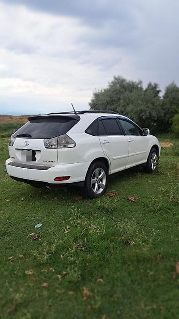 рейл: Lexus RX: 2004 г., Автомат, Бензин, Кроссовер — 5