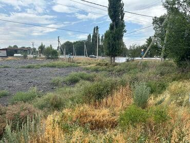 участок для строительства село военно антоновка: 37 соток, Для бизнеса, Красная книга, Тех паспорт, Договор купли-продажи — 1