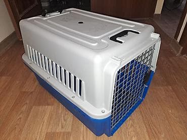 переноска для кошек и собак: Зоотовары переноска для животных пластиковая размер 48 32 30 цена 900 — 4
