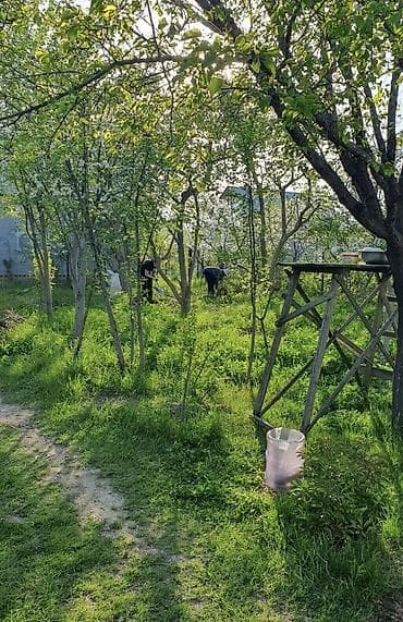 офисная тумба: Дача сатылат локация топ Жерде 5 соток красный книга 📕 сразу — 1